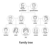 وکتور ساختار درختی وکتور درخت خانواده