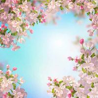 وکتور حاشیه گل طبیعی وکتور حاشیه شکوفه