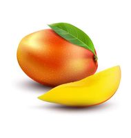 وکتور انبه وکتور سوپر میوه وکتور mango