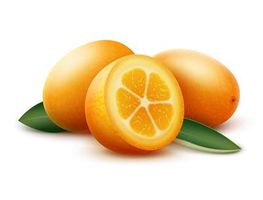 وکتور میوه فروشی وکتور پرتقال