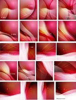 وکتور بک گراند رنکی وکتور پس زمینه