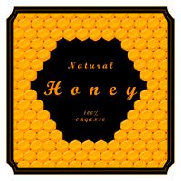 وکتور عسل وکتور honey