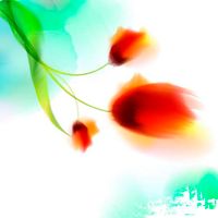 پس زمینه بک گراند آبرنگ گل و بوته