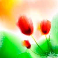 پس زمینه بک گراند آبرنگ گل و بوته