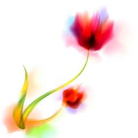 پس زمینه بک گراند آبرنگ گل و بوته