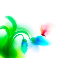 پس زمینه بک گراند آبرنگ گل و بوته