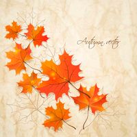 وکتور autumn background وکتور بکگراند