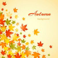 وکتور autumn background وکتور بکگراند