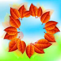 وکتور autumn background وکتور بکگراند