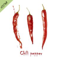 وکتور chili pepper وکتور فلفل قرمز تند