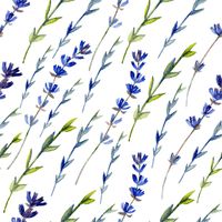 وکتور بک گراند گل و بوته