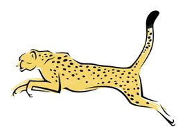 Cheetah vector