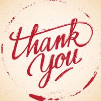 Latin typography vector