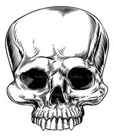 Vector Logo skull