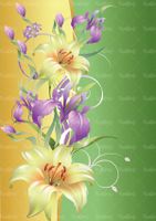 وکتور حاشیه گل