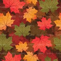 Autumn leaf vector