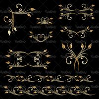 وکتور حاشیه گل طلایی