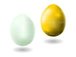 Vector colored egg
