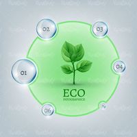 Infographic ECO Vector