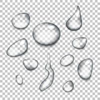 Water droplet vector