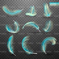 feathers vector