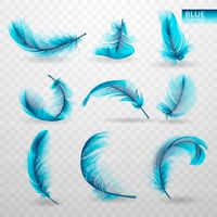 feathers vector
