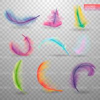 feathers vector