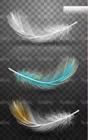 feathers vector