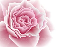 Vector pink wallpaper