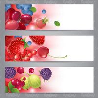 Organic fruit vector