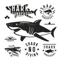 Vector logo shark