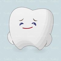 Tooth Vector