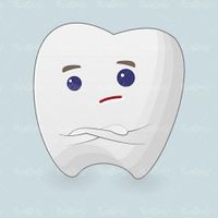 Tooth Vector