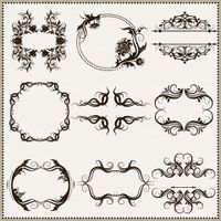 وکتور کادر گل و بوته