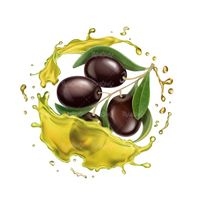 Vector olive