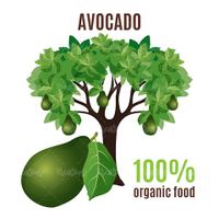وکتور آوواکادو