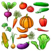 وکتور میوه و سبزیجات