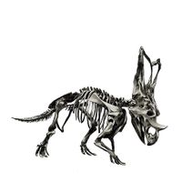 Dinosaur Skeleton Vector