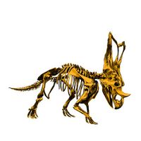 Dinosaur Skeleton Vector