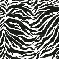 Vector Zebra Background