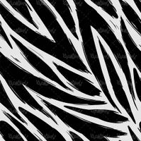 Vector Zebra Background