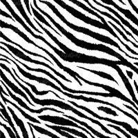 Vector Zebra Background
