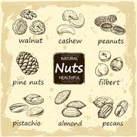 Vector Nuts