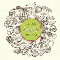 Vector Nuts