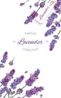Lavender flower border vector