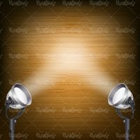 Vector Theater Curtain