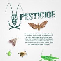 Pesticide Vector