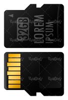 Vector sd ram