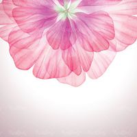 پترن گلبرگ