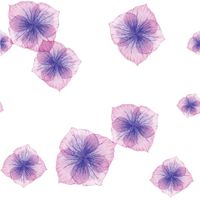 پترن گلبرگ